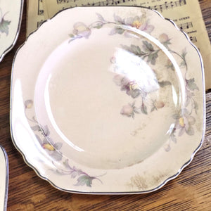 Limoges Company Peach-Blo Ware Salad Plates Set of 4