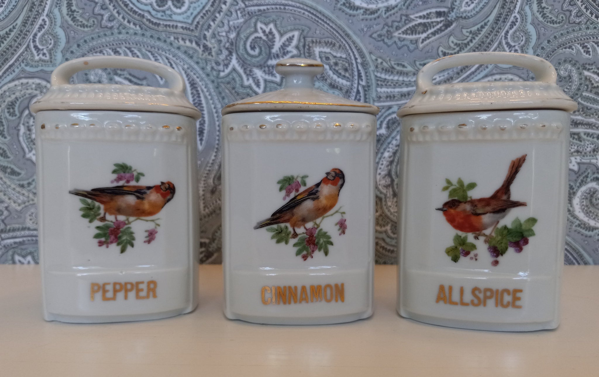 Antique Porcelain German Made Spice Jars with Hand Painted Birds - Set –  Fluffernutter Vintage