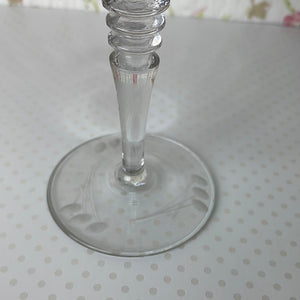 Mosque Rose Etched Glass Champagne Glass by Rock Sharp