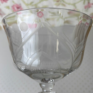 Mosque Rose Etched Glass Champagne Glass by Rock Sharp